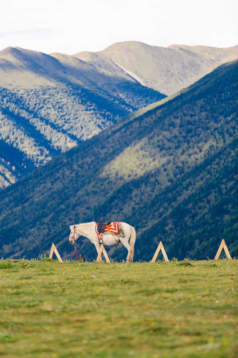 鱼子西的黄昏，和那个追着光跑的自己-第2张图片-甘孜旅游